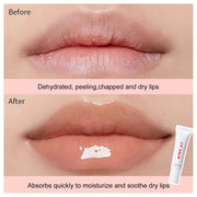 Private Label Peptide Lip Balm - Vitamin E Fruit 15mL product image 4 for Coosei private label lip balm customization